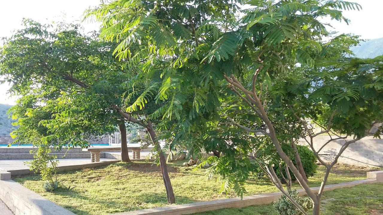 Villa Mihaela - Apartment Ika سيساريكا المظهر الخارجي الصورة